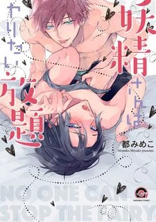 Yousei-san wa Yaritai Houdai